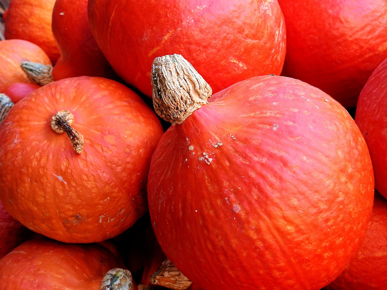 五月與十月水果盛宴,季節甘甜的品味之旅