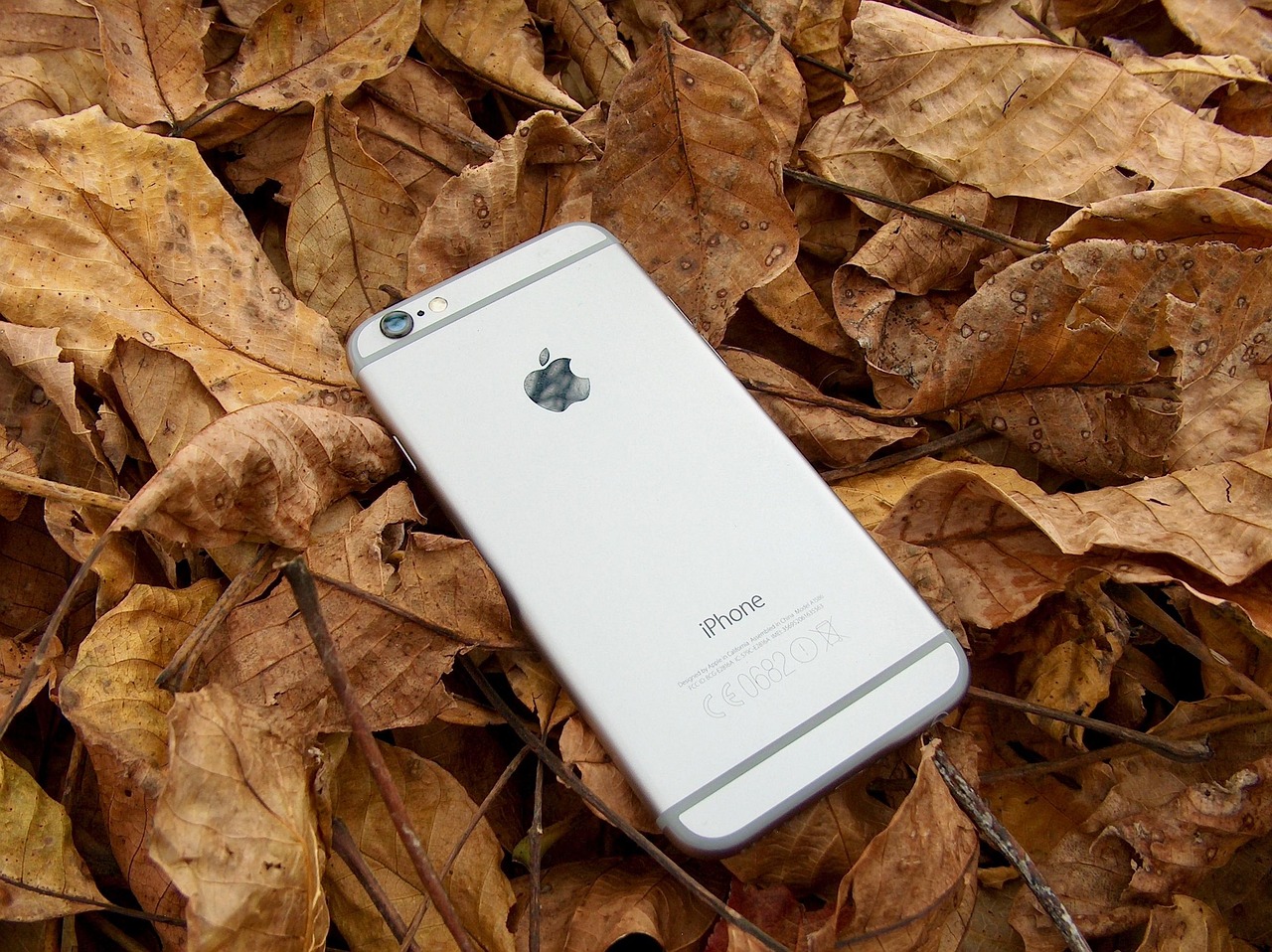 蘋果iPhone 6五月上市時的價格分析與揭秘