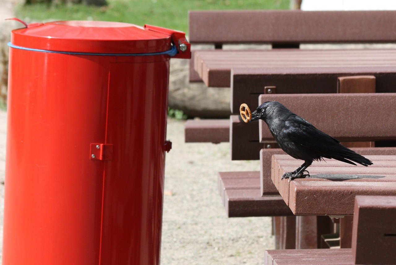 五月蒲城疫情動態(tài)觀察與應對策略