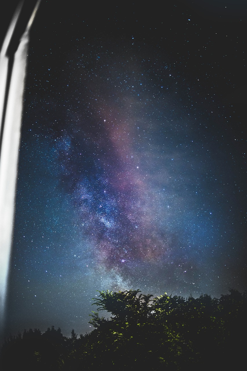 五月星光璀璨，成為明星的游戲之旅