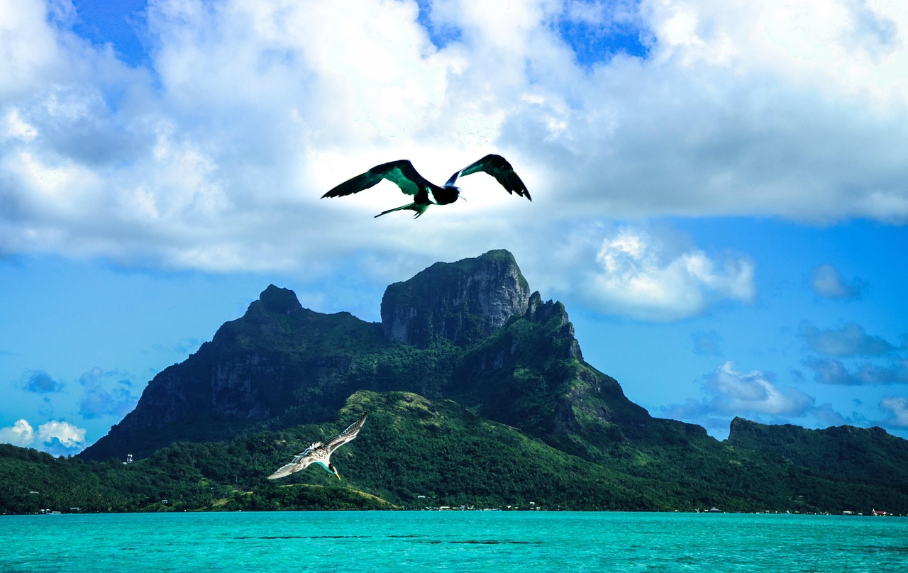 五月趕海之旅，探尋海洋寶藏的激情之旅。